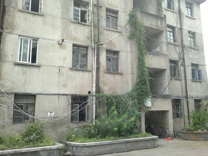 wKgBs1hf3V2AXtPCAAGyTzpachA94.jpeg?imageView2%2F2%2Fw%2F600%2Fh%2F600%2Fq%2F90
