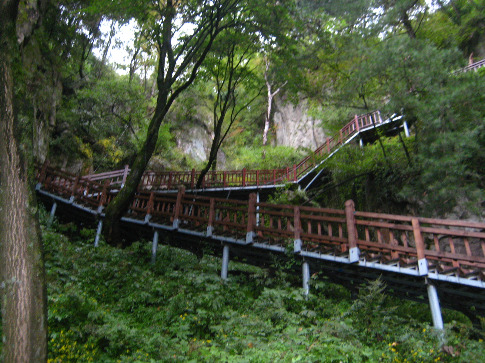 红河谷之旅(自由行攻略系列之一百零七),宝鸡旅游攻略
