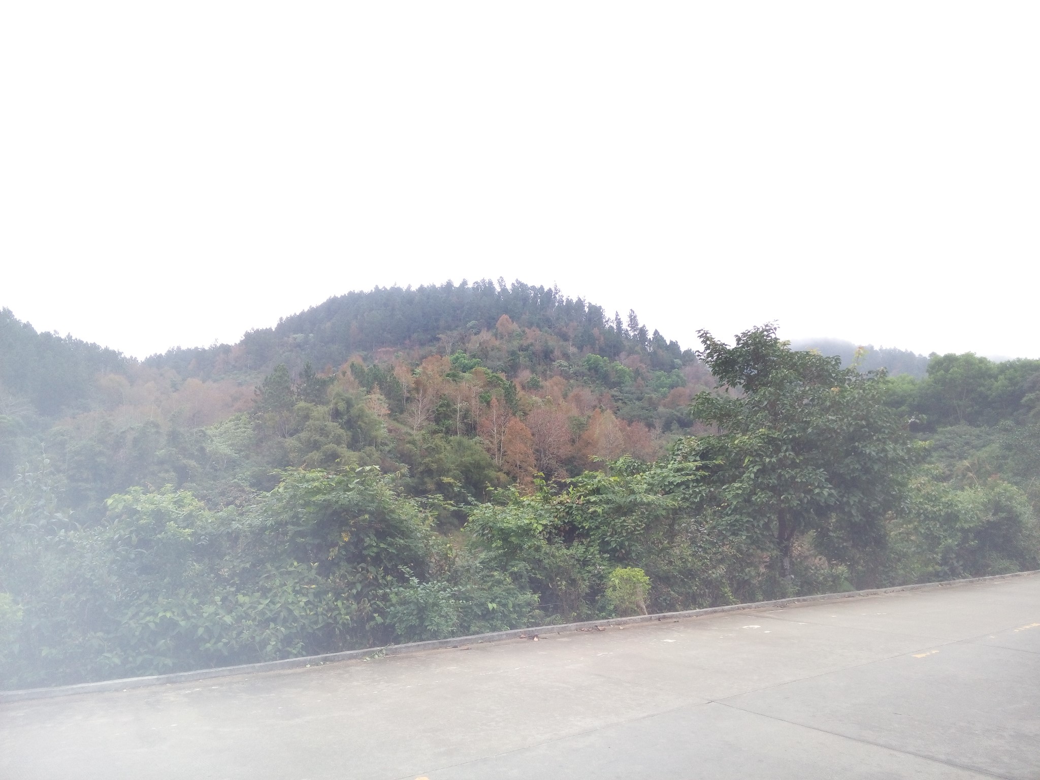 五指山人口有多少_五指山孙悟空