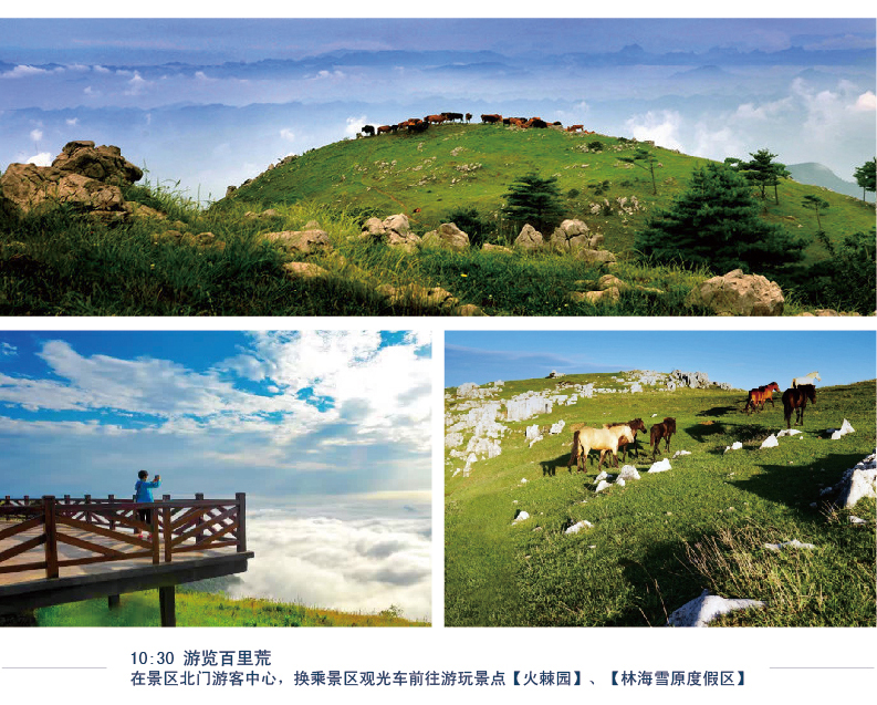百里荒露营人均多少钱_露营帐篷(3)