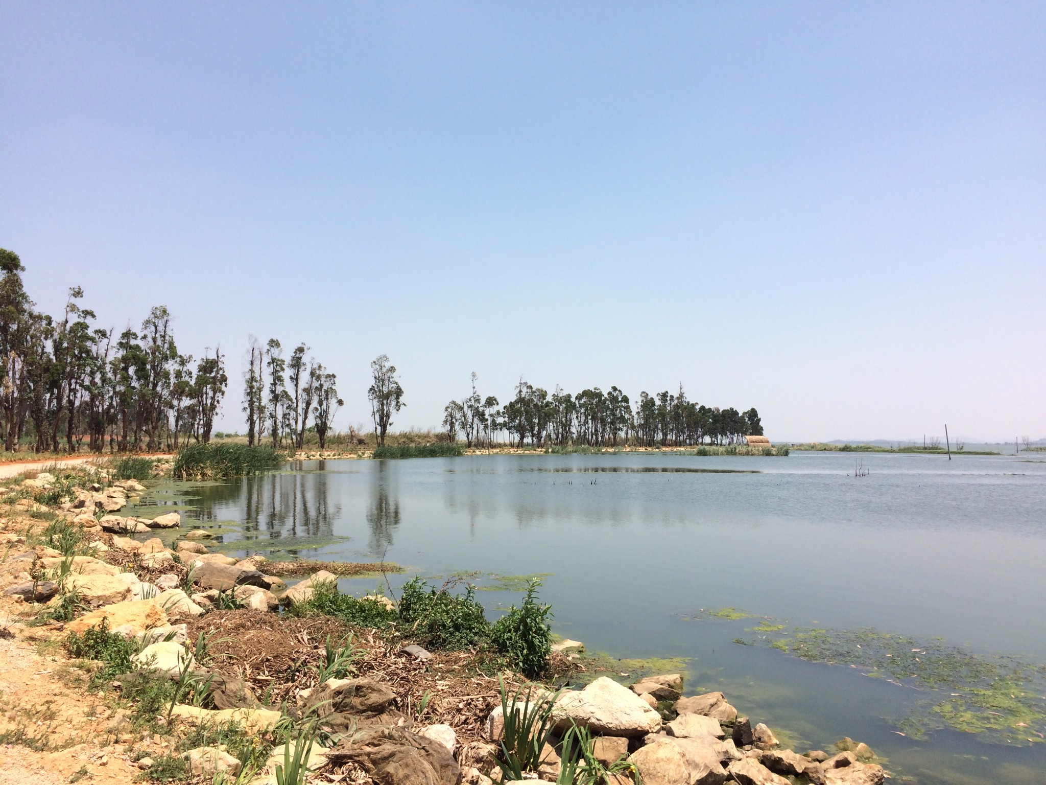 晋宁东大河湿地公园——昆明周边玩,风景如画