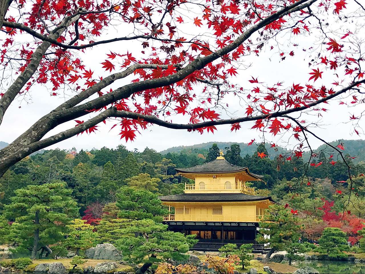 金阁寺          
