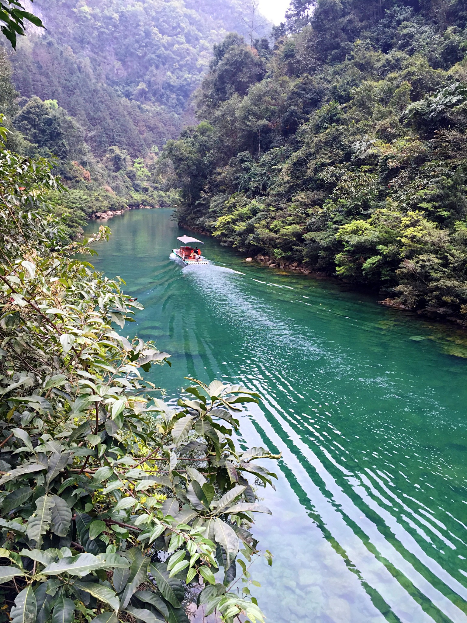 兴义都匀凯里gdp_都匀毛尖图片(2)
