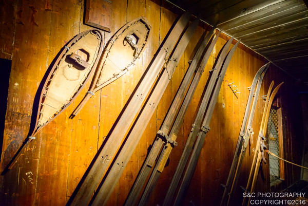 道门猜一成语_木猜一成语疯狂看图(2)