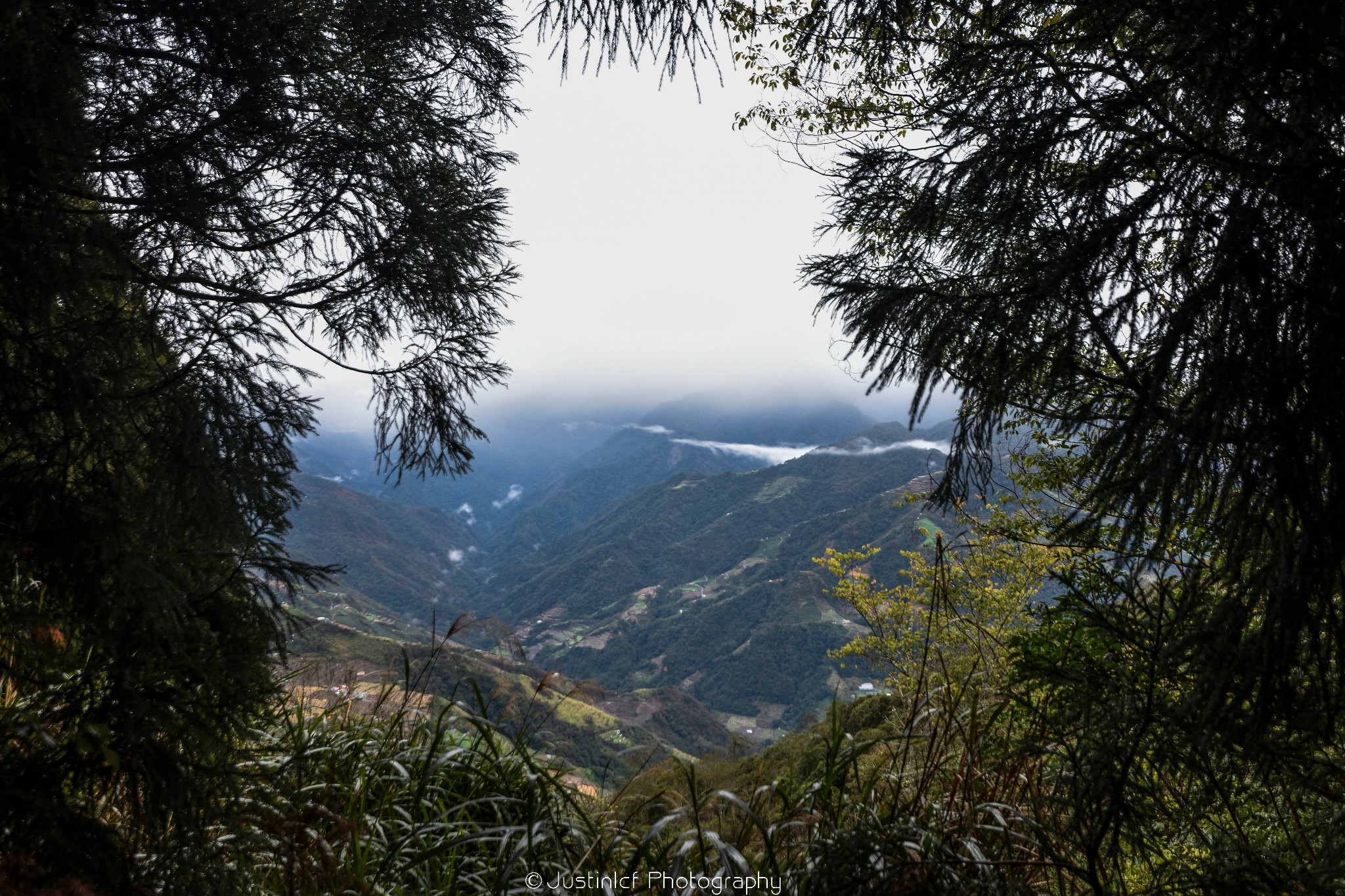 臺灣登山過節臺中合歡山