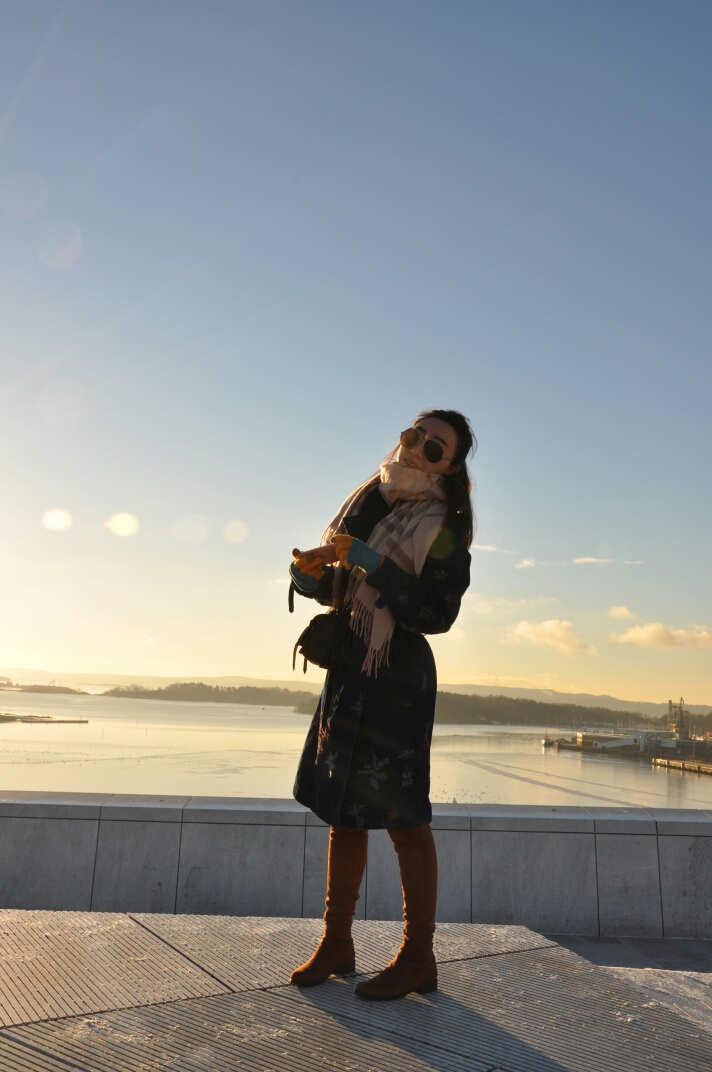 欧洲游之 丹麦(哥本哈根)-挪威(奥斯陆) 签证篇