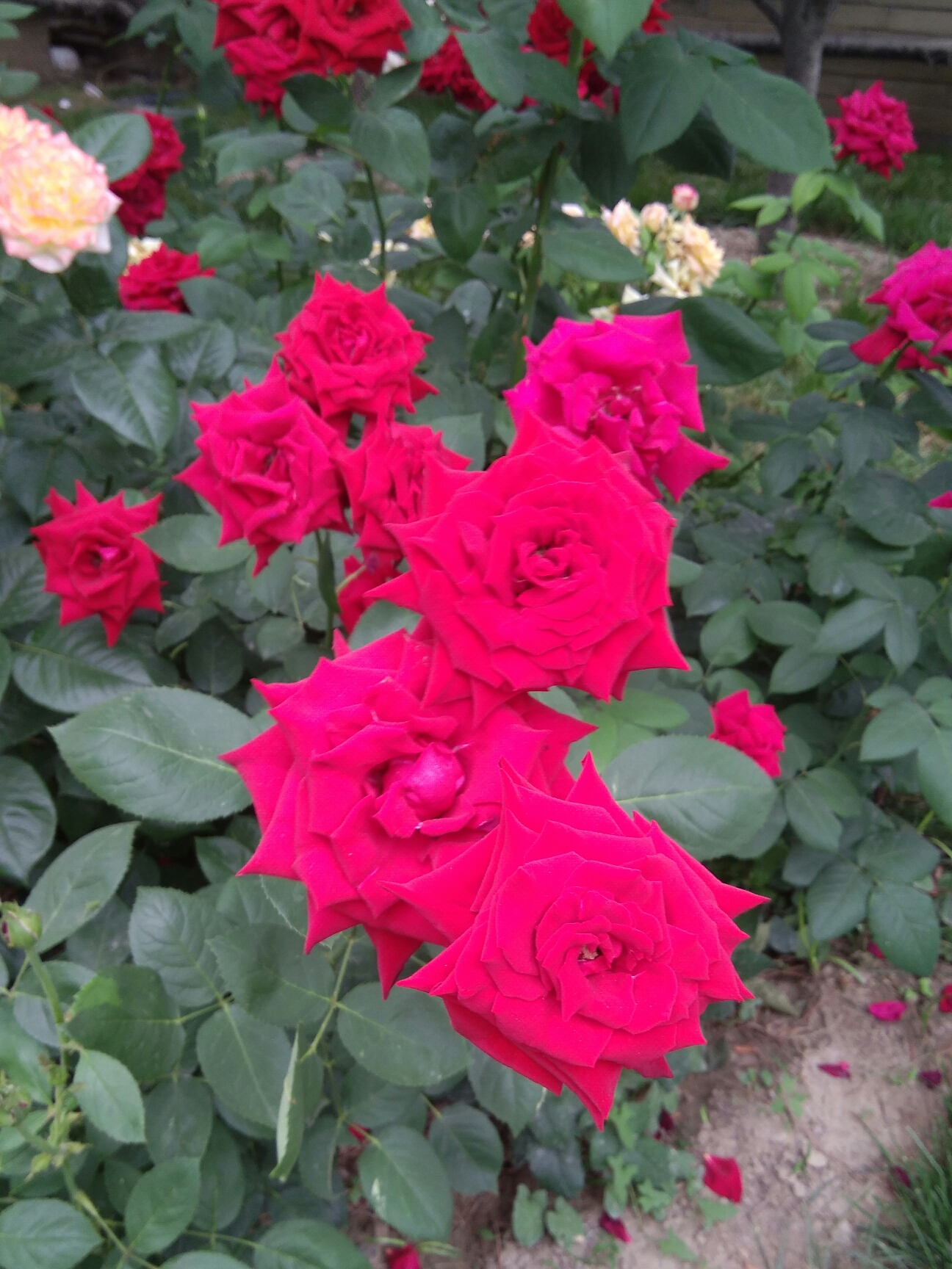 县里GDP高对市里有帮助吗_帮助别人的图片(2)