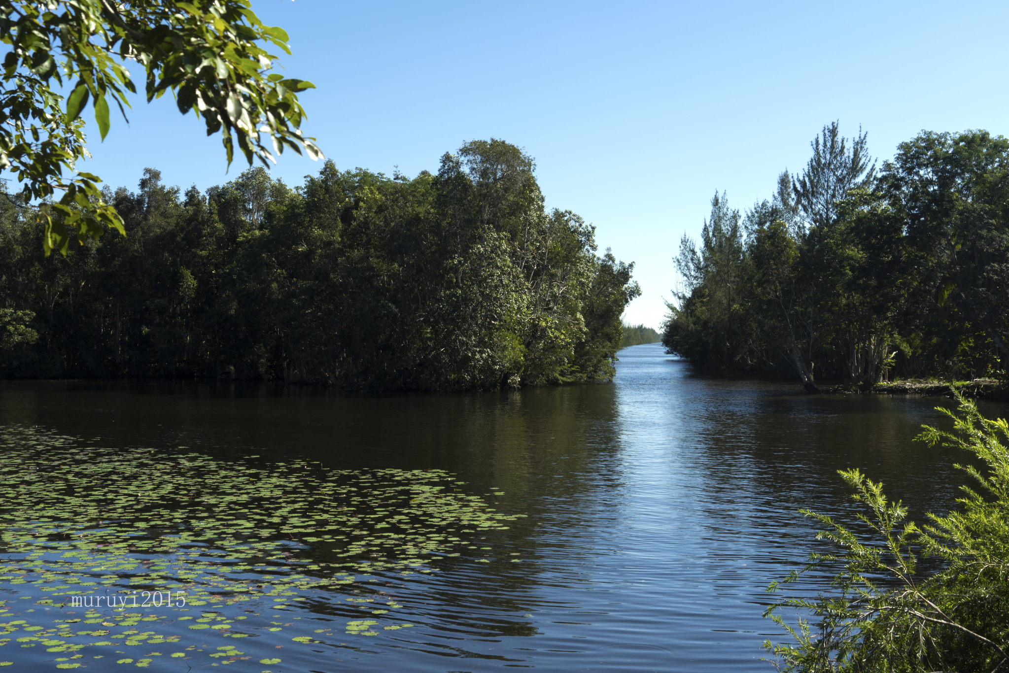 国民收入再分配_国民收入英语(2)
