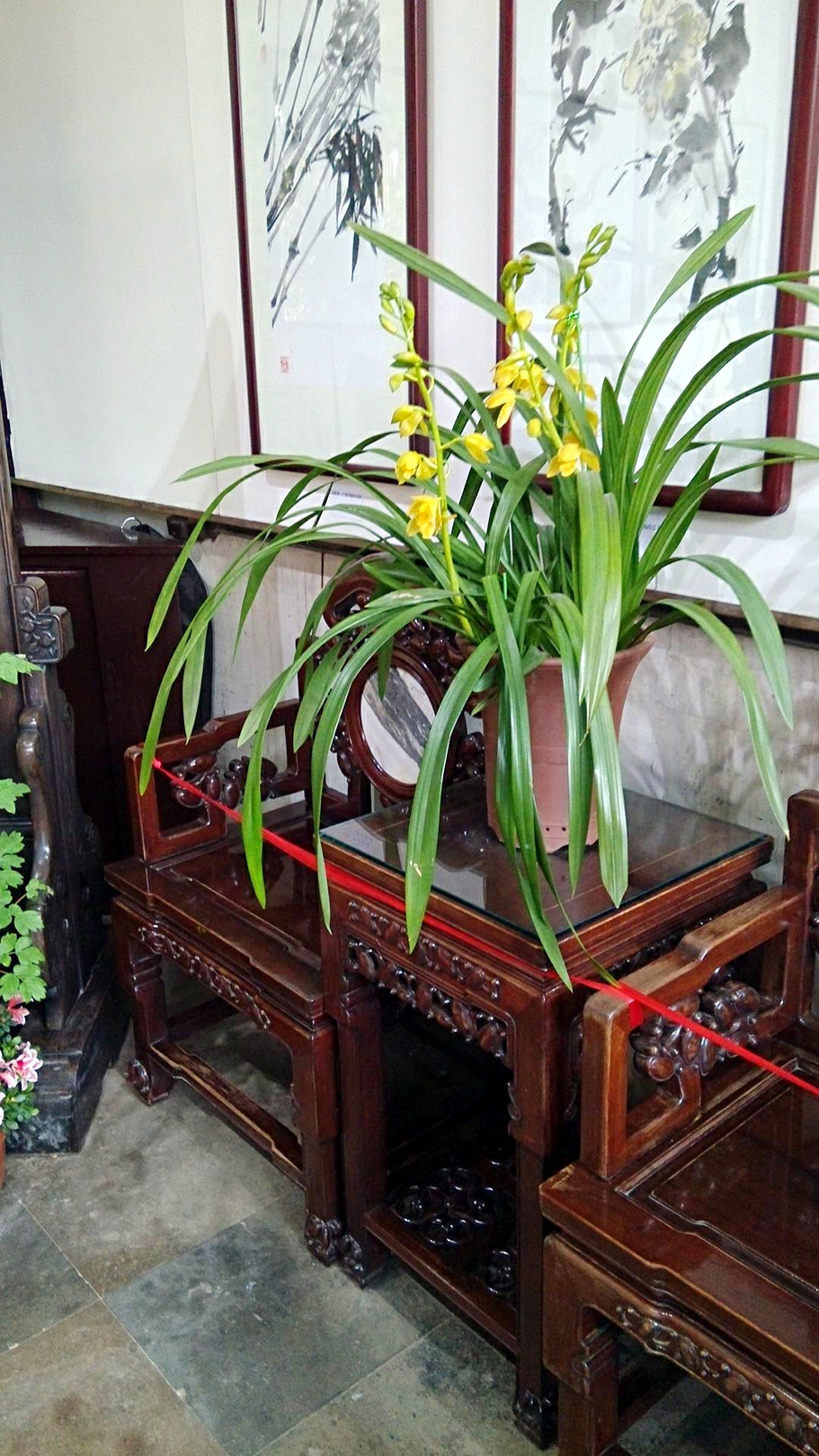 早春的树吉他谱_早春二月 人均(3)