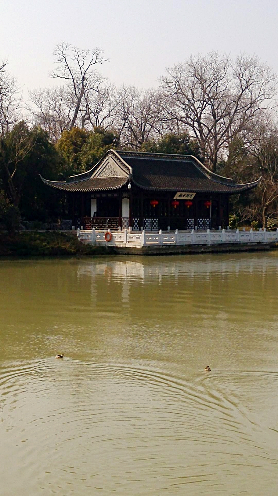 早春的树吉他谱_早春二月 人均(3)