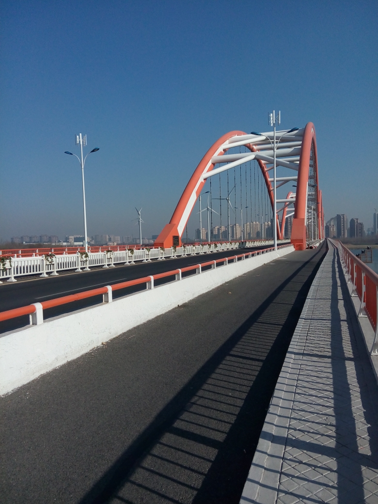 〈致远敬天九河陆游哥〉徒步接力陆游,天津·塘沽·古贝壳堤湿地公园,