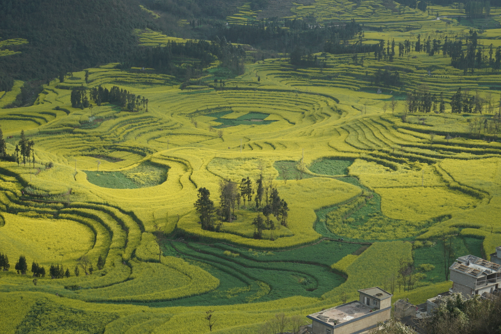 东川区的总人口数量_昆明市东川区县城图片