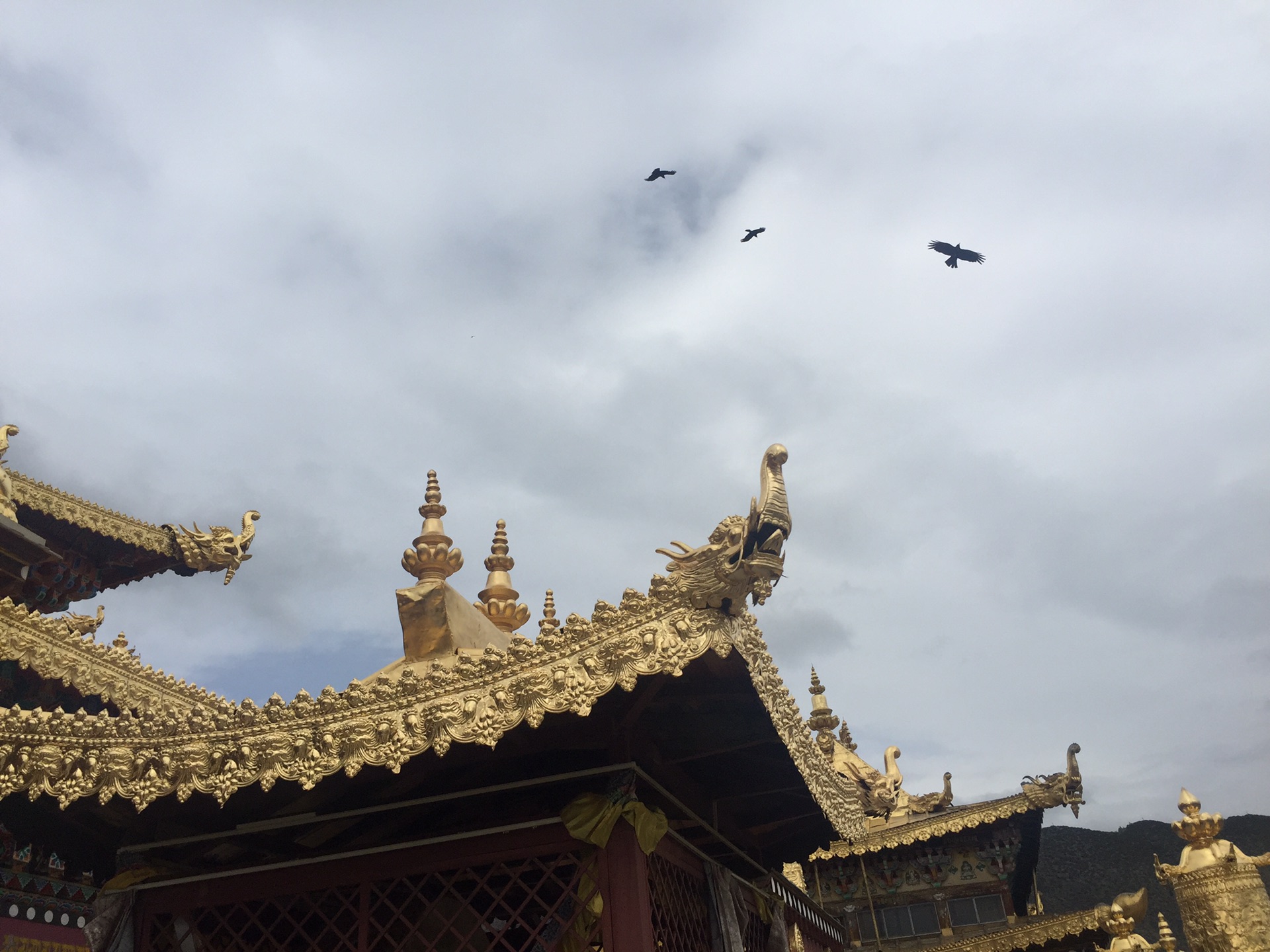 抬头寺人口_抬头望天空的图片(2)
