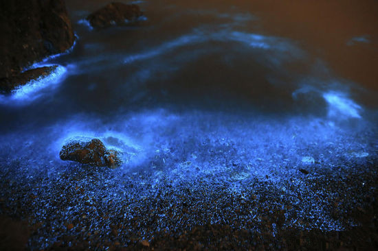 晚上的大海是什么颜色的 wKgBZ1mB3wqAEAp7AALC6kI5S1M97.jpeg?imageView2%2F2%2Fw%2F680%2Fq%2F90