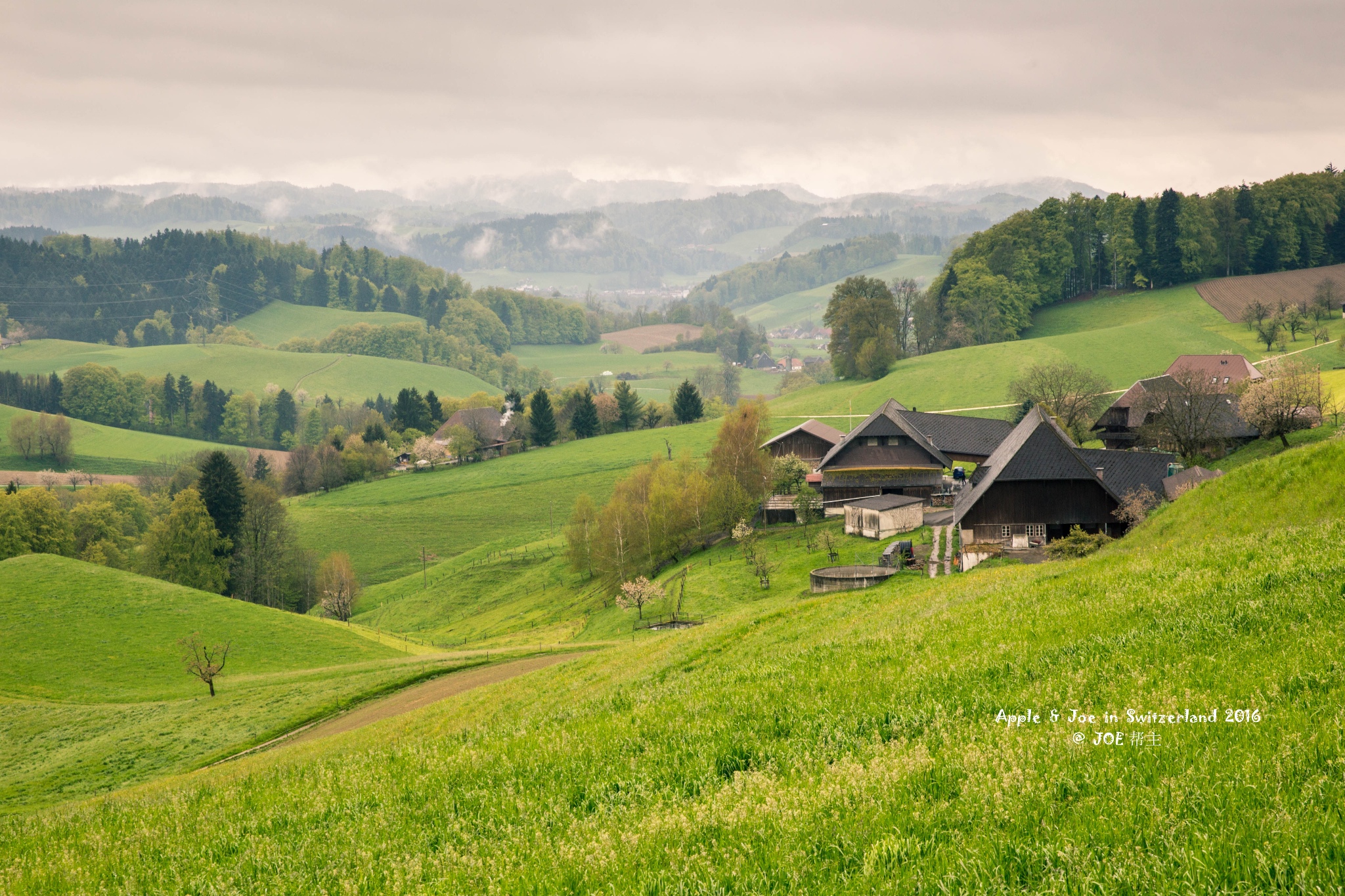 【蜂首|宝藏】花间雪,湖畔春,晴潋雨蒙入梦深(瑞士9日自驾游)