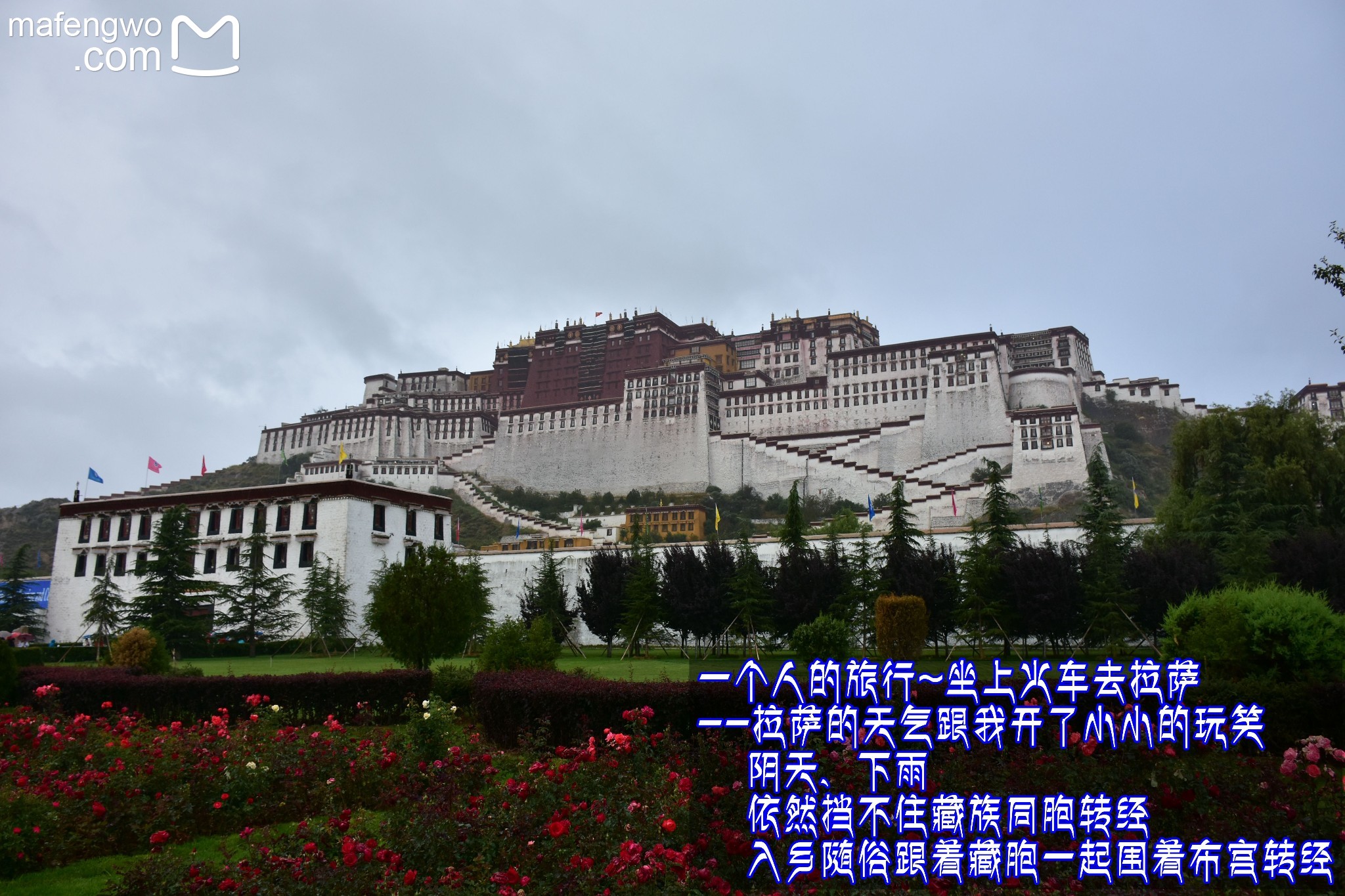 祥山总人口(3)