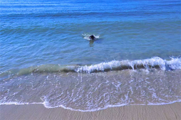 wKgBZ1h3Uw-ATi57AAFKMNNExv873.jpeg?imageView2%2F2%2Fw%2F680%2Fq%2F90