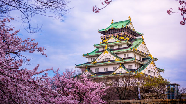 上海直飞日本东京5\/6\/7日往返含税机票(预售至