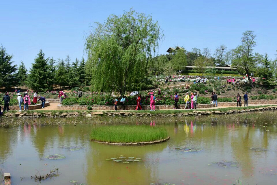 大連英歌石植物園一日遊(2017.5.6)