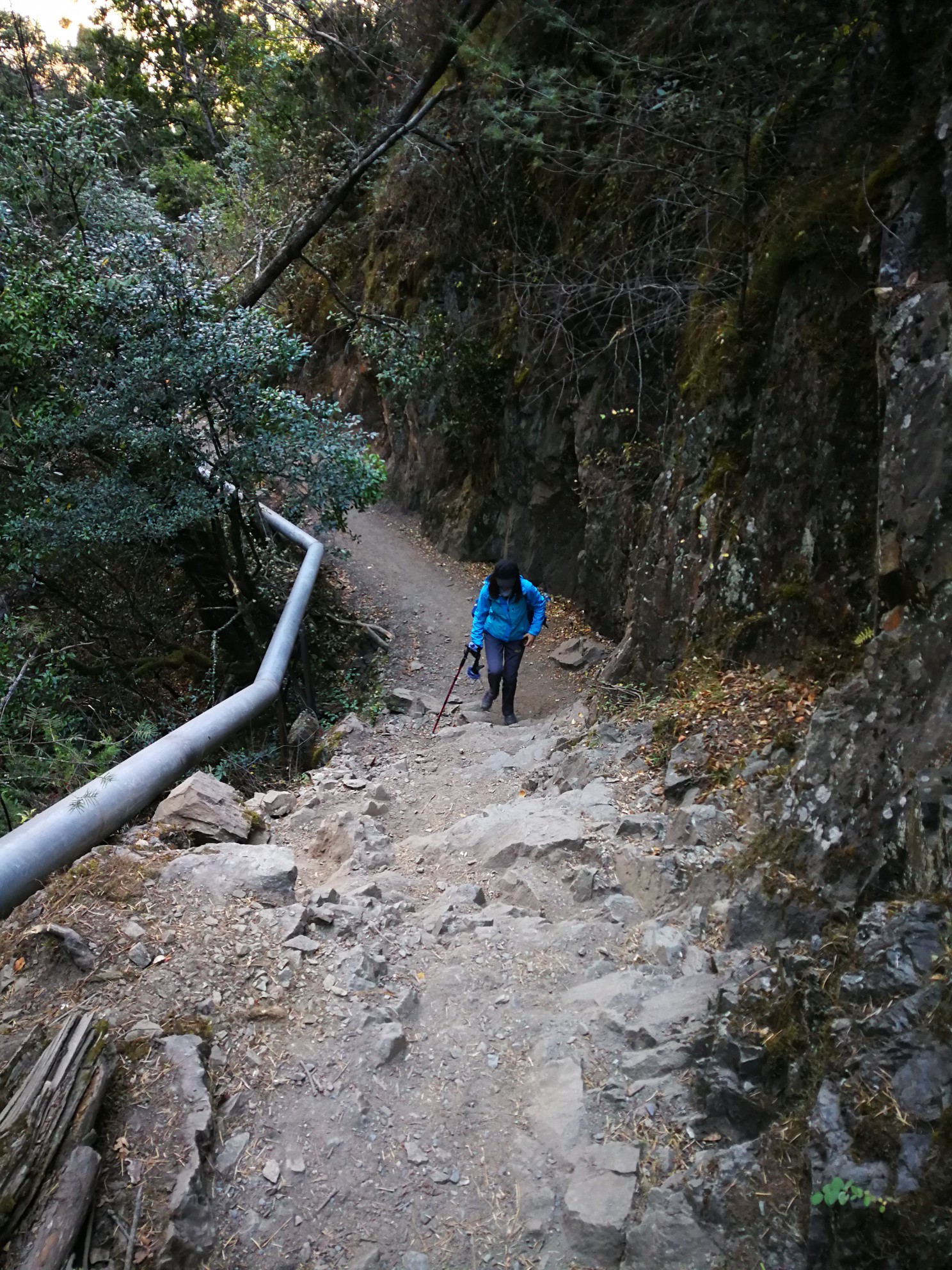 wKgBEFpEcI-ATIdCAA6VjH6YL_A22.jpeg?imageView2%2F2%2Fw%2F680%2Fq%2F90%7CimageMogr2%2Fstrip%2Fquality%2F90