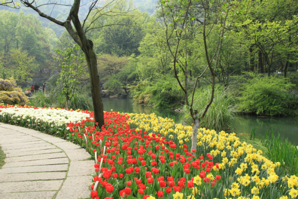 西湖游玩攻略赏花,西湖游玩攻略
