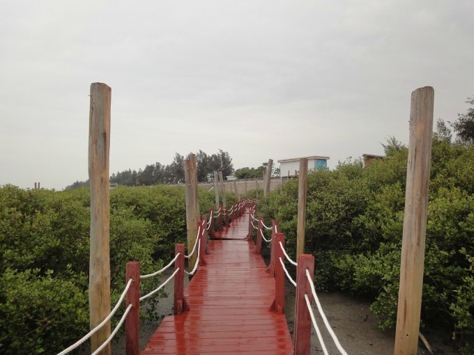 树是什么时候释放氧气 wKgB3FClkuOAQaHQACN0SmF1yj413.jpeg?imageView2%2F2%2Fw%2F680%2Fq%2F90%7CimageMogr2%2Fstrip%2Fquality%2F90