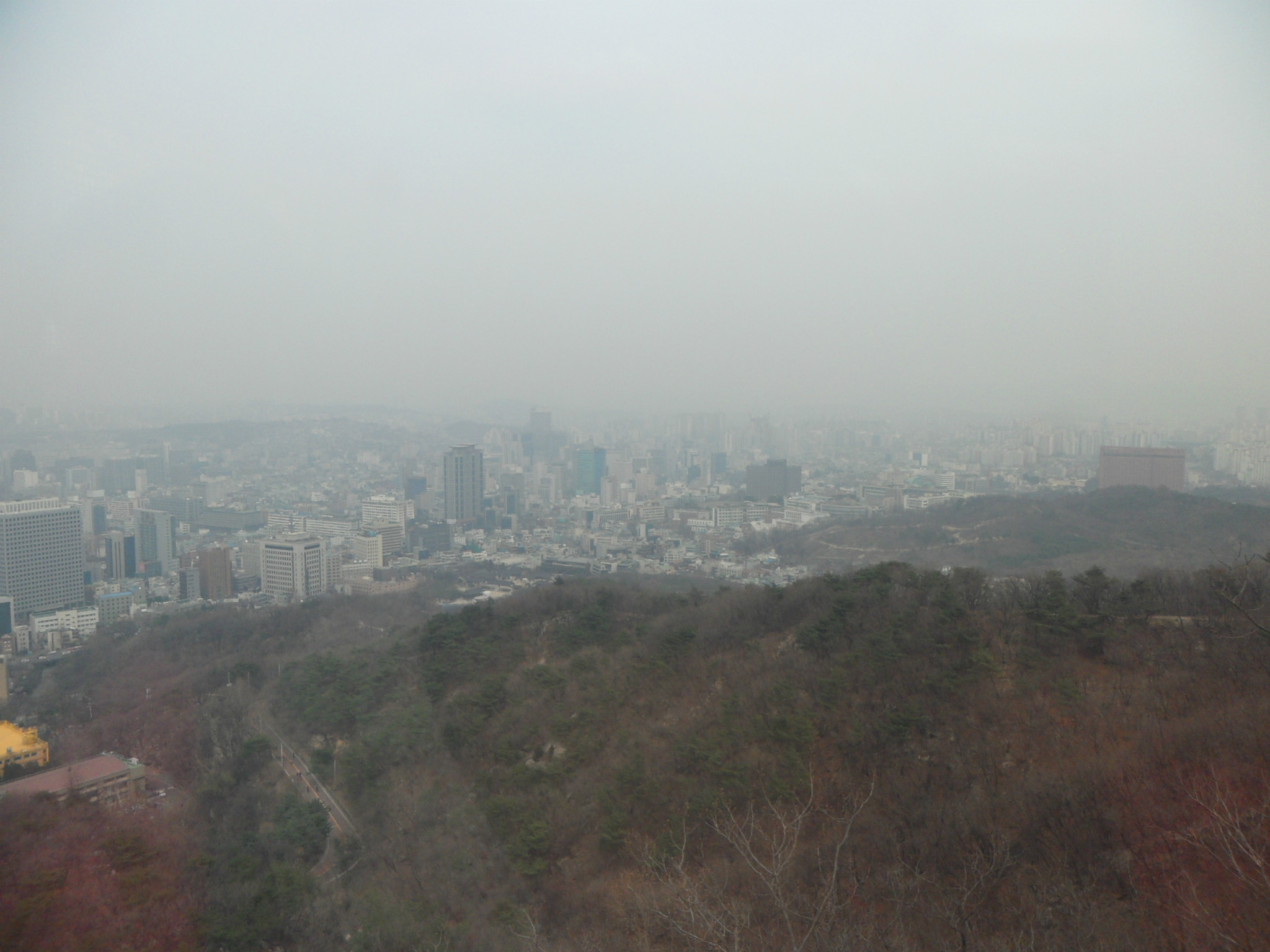 人追星猜成语_追星的人(3)