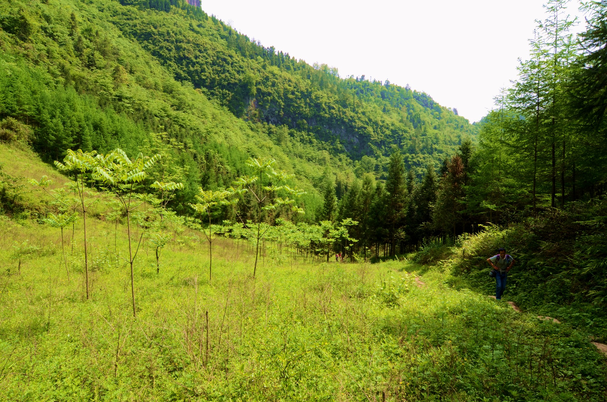 【秘境之旅】探寻清江古河床