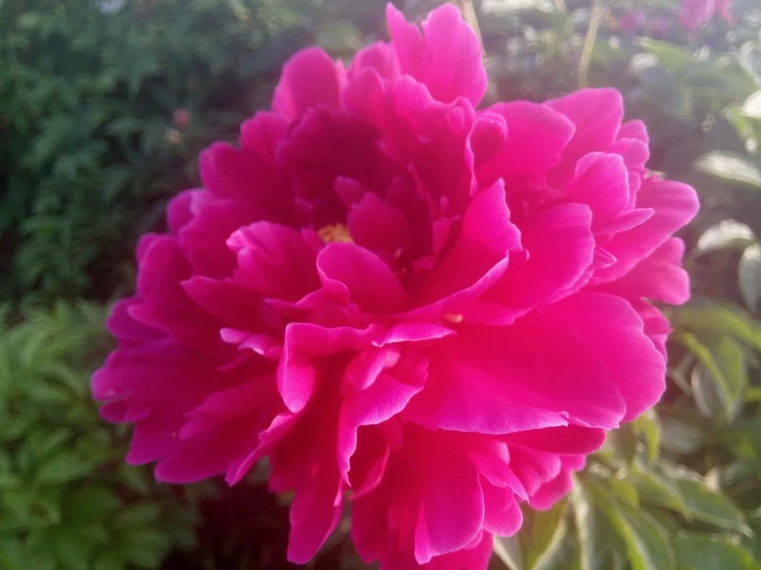 wKgBpVWlBTSAMejmAAFZqwqcY5Y87.jpeg?imageView2%2F2%2Fw%2F680%2Fq%2F90