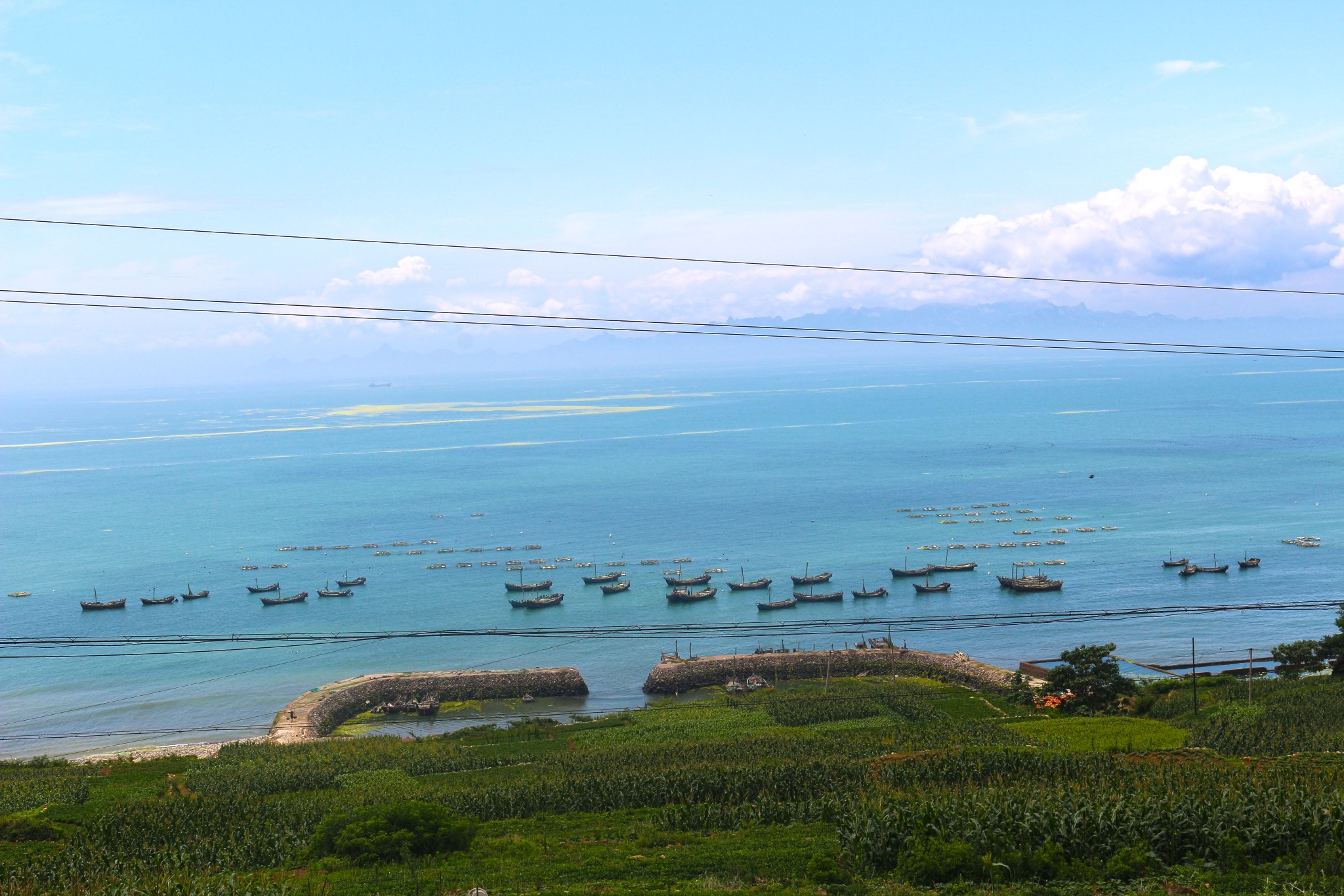 黄岛灵山岛人口来源_黄岛灵山岛游记照片