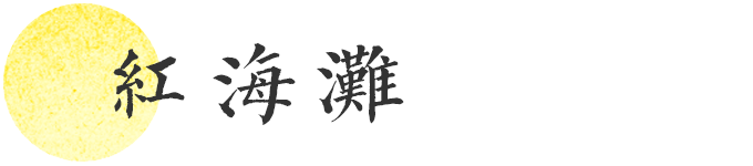 红海滩 红海滩