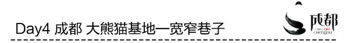 Day4 成都 大熊猫基地—宽窄巷子 Day4 成都 大熊猫基地—宽窄巷子