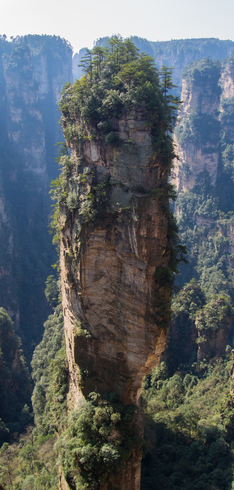 武陵源多少人口_张家界武陵源