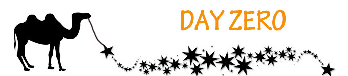 DAY ZERO DAY ZERO