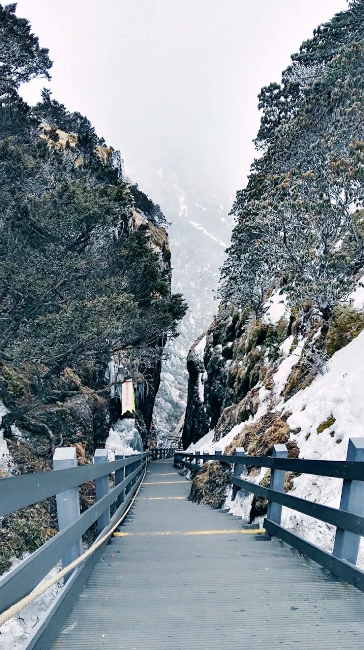 大雪山人口_想不想修真大雪山地图