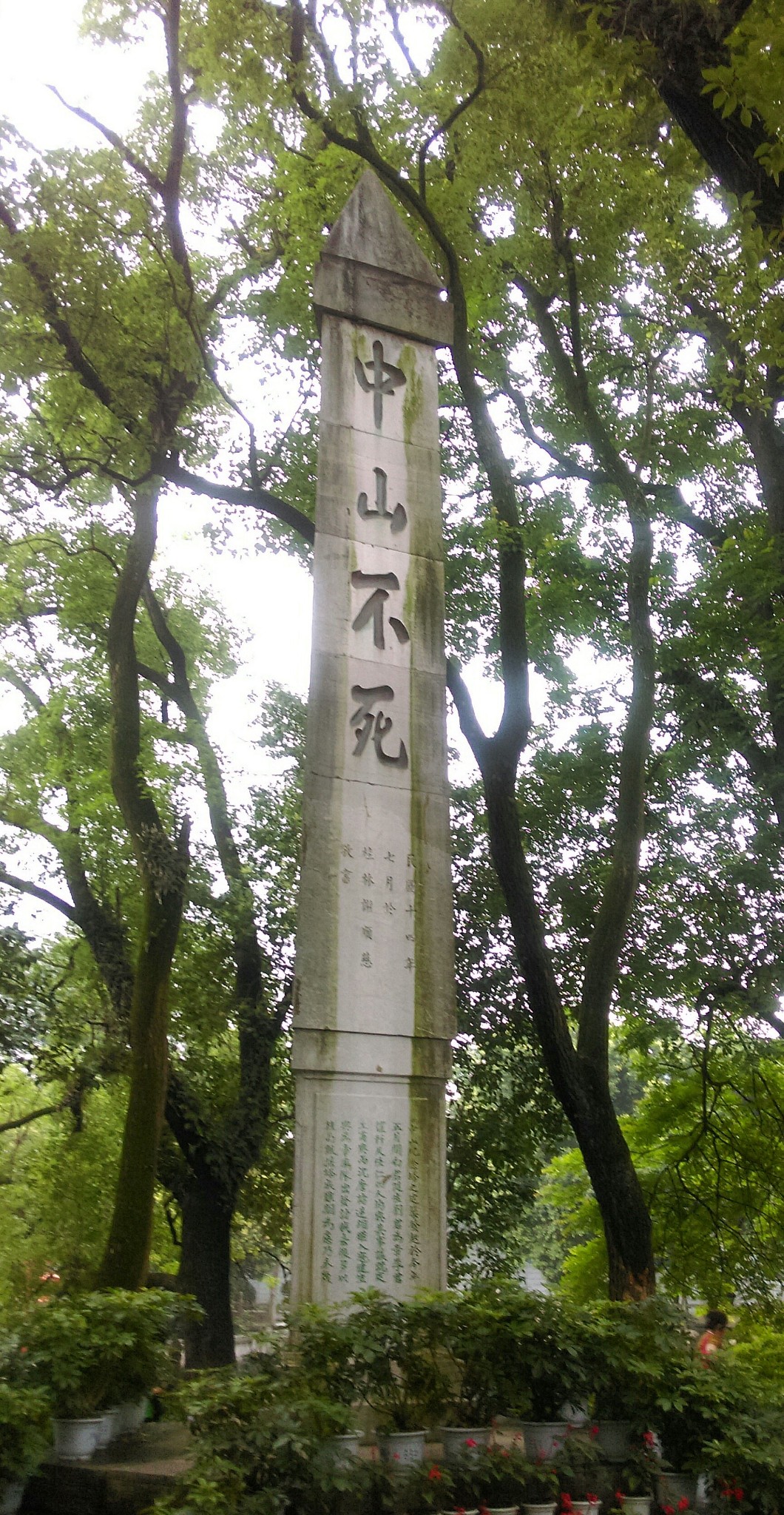 阳朔有多少人口_阳朔西街图片(3)
