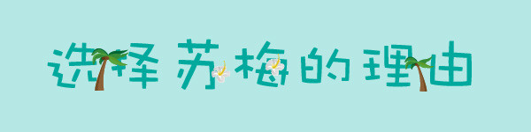 选择苏梅的理由 选择苏梅的理由