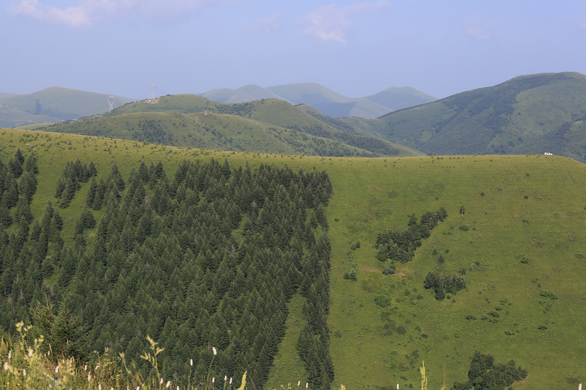 坝上美景