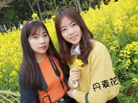 丹麦花园 丹麦花园