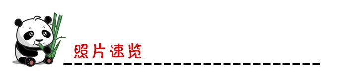 照片速览 照片速览