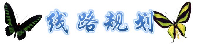 线路规划 线路规划