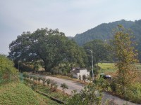 古村瞻淇 古村瞻淇