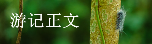游记正文 游记正文