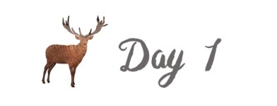 Day 1 到达斯堪的纳维亚 Day 1 到达斯堪的纳维亚