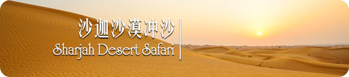 沙迦沙漠冲沙 沙迦沙漠冲沙