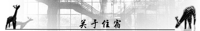 关于住宿 关于住宿