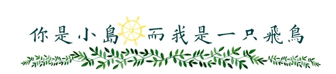你是小岛,而我是一只飞鸟 你是小岛,而我是一只飞鸟