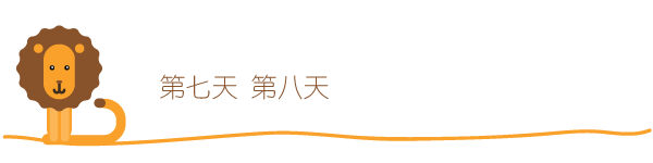 第七第八天 第七第八天